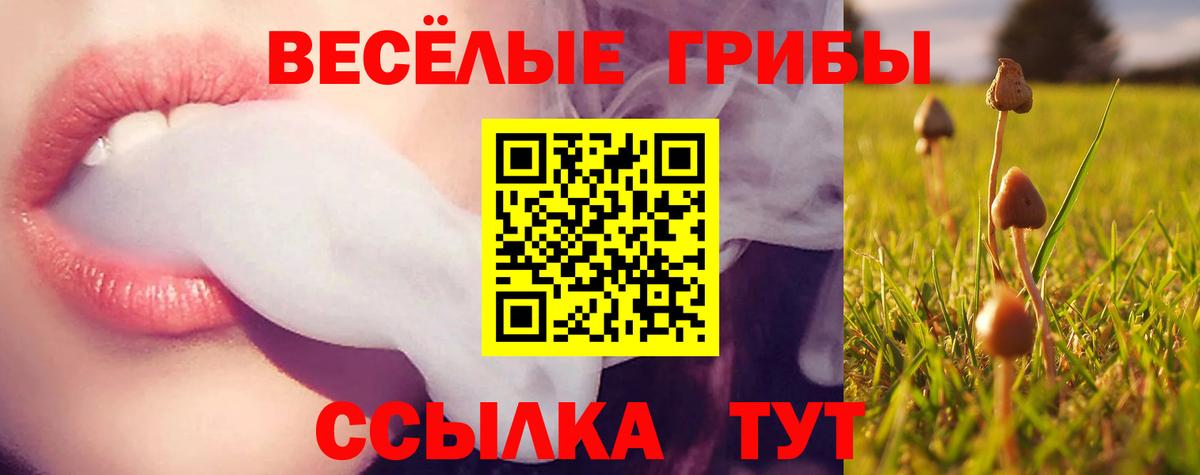Советская Гавань  Галлюциногенные грибы Psilocybine cubensis  Вход с VPN 